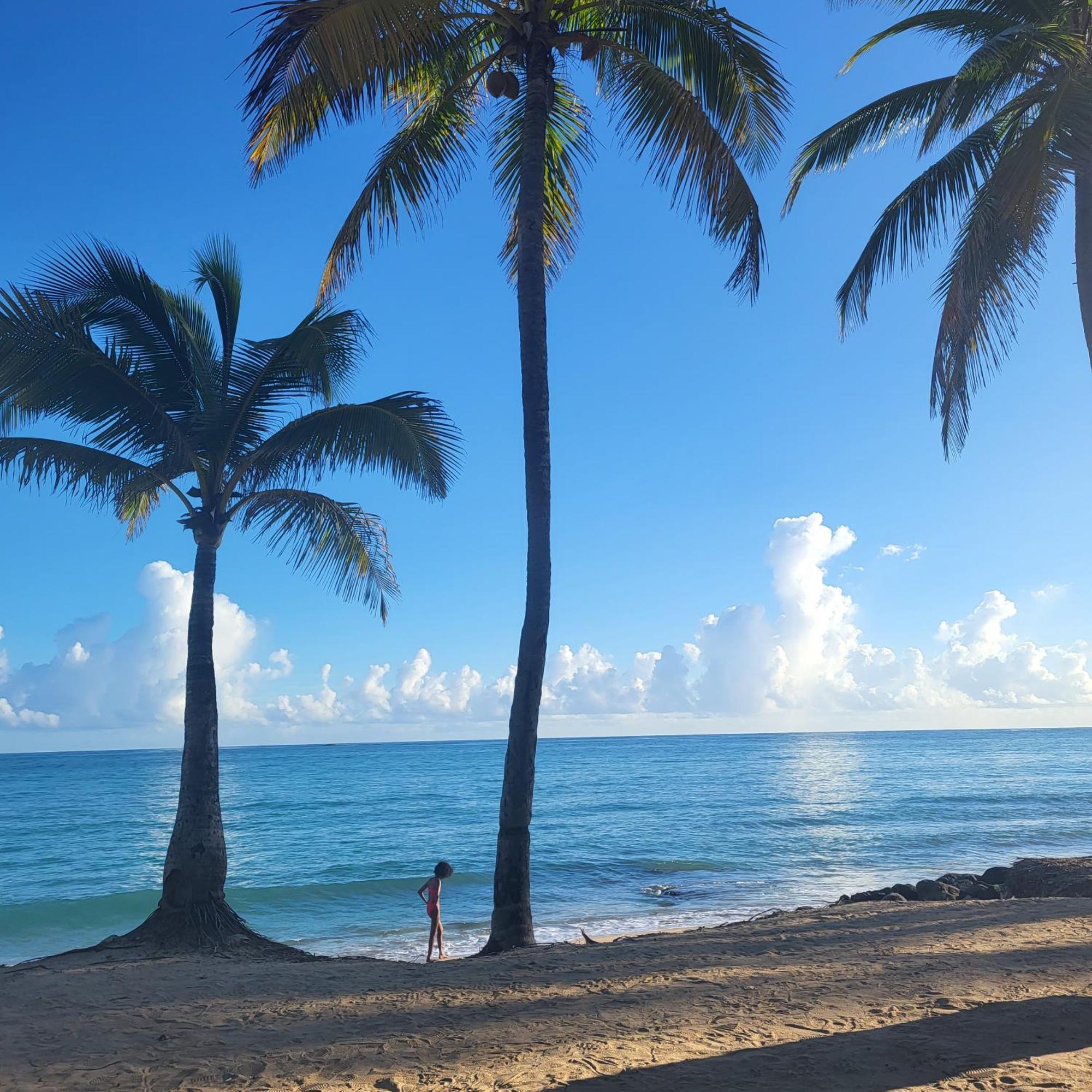Cozybeach Large 1Bdrapt 50 Steps From Atlantic Ocean Private Street Between Ocean Park & Isla Verde 5 Mins From Airport Сан Хуан Екстериор снимка