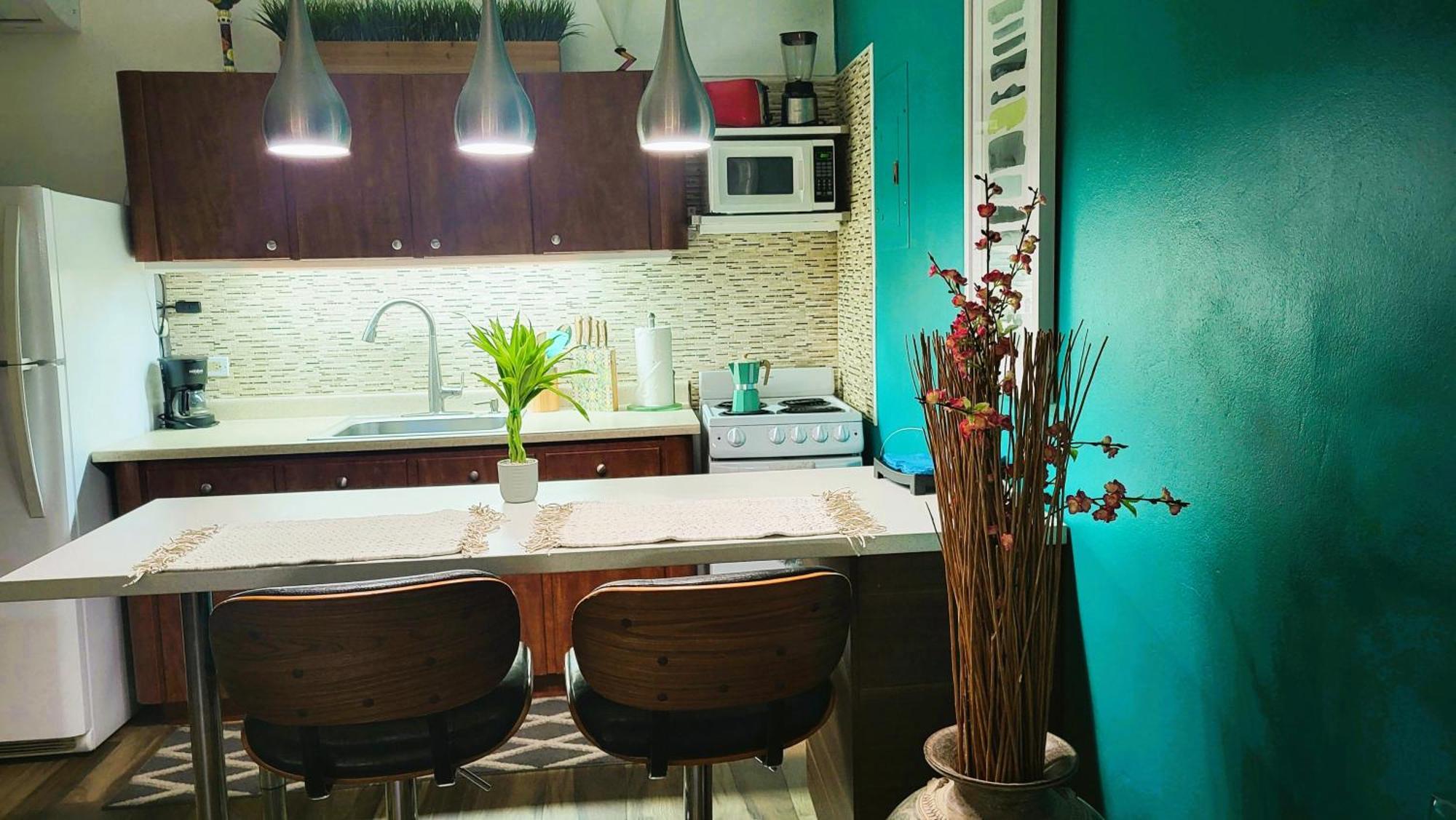Cozybeach Large 1Bdrapt 50 Steps From Atlantic Ocean Private Street Between Ocean Park & Isla Verde 5 Mins From Airport Сан Хуан Екстериор снимка